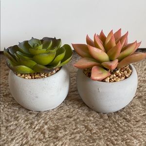 Mini Fake Succulents